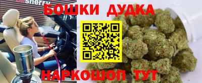 индика Краснокаменск