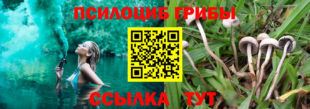 Псилоцибиновые грибы ЛСД  Вход с VPN  Шатура  Псилоцибиновые грибы мухоморы 