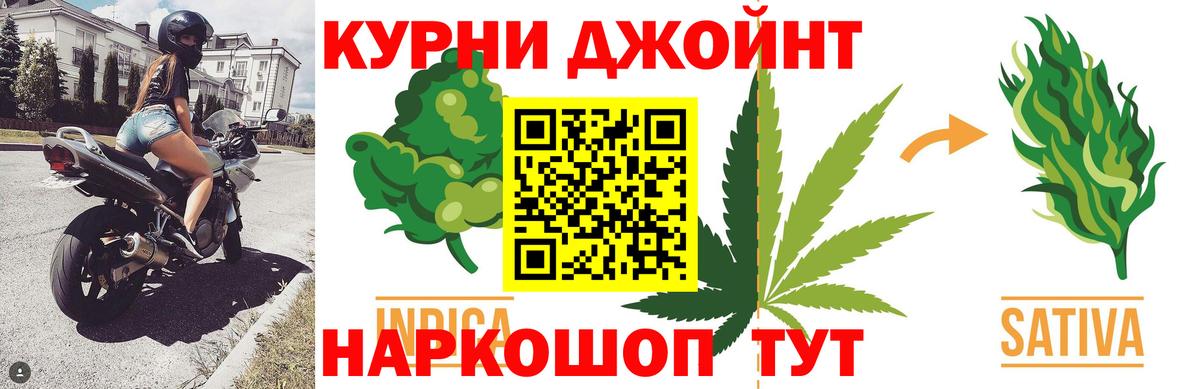 МАРИХУАНА сатива Шатура
